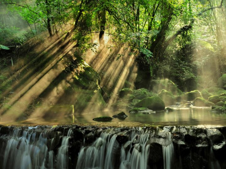 Parco acquatico Aquatropic